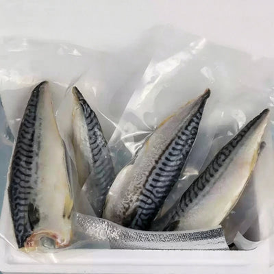 Frozen Norwegian Mackerel Fillets