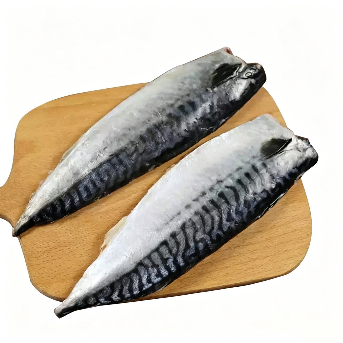 Frozen Norwegian Mackerel Fillets